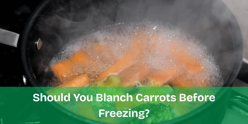 Blanching carrots in boiling water to preserve color, flavor, and texture before freezing